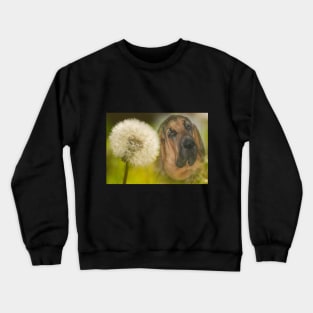 Bloodhound Dog Dandelion Crewneck Sweatshirt